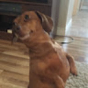 Meet your Posher, Bethany